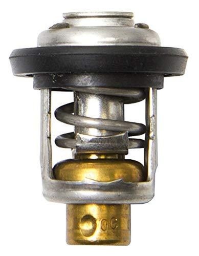 Thermostat for 6hp 8hp 9hp - for,