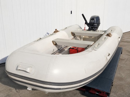 Aluminium rib hypalon - 3.1m,
